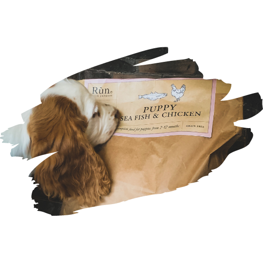 Rùn cold pressed dog food puppy sniffing bag