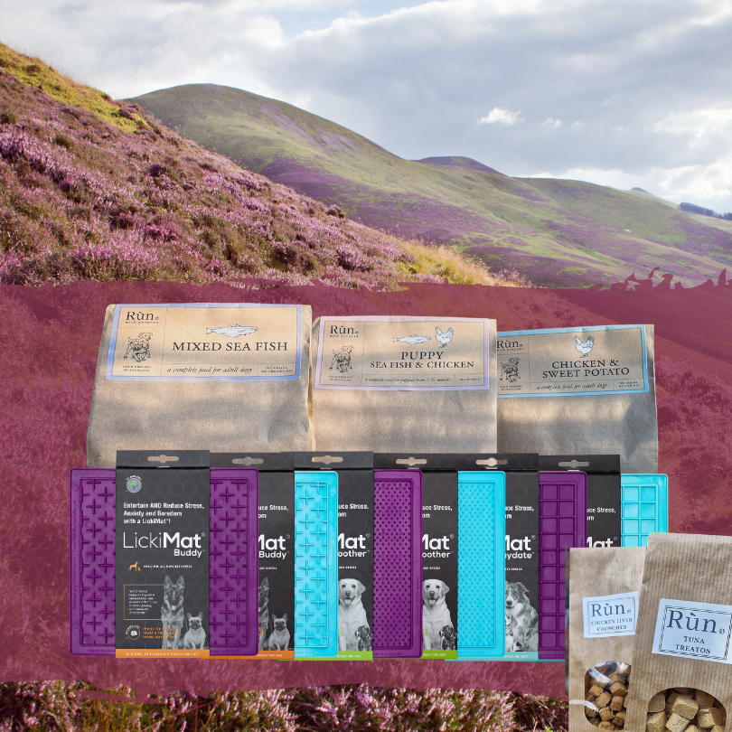 Hills dog online food ireland