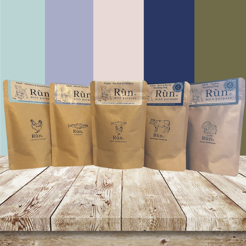 Cold Pressed Samples – Rùn Dog Food - Main Image