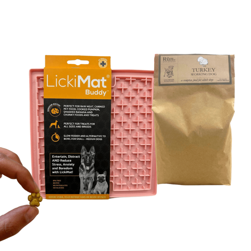Cold Pressed Starter Pack - Rùn Dog Food