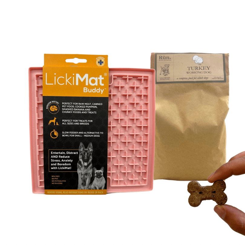 Cold Pressed Starter Pack - Rùn Dog Food