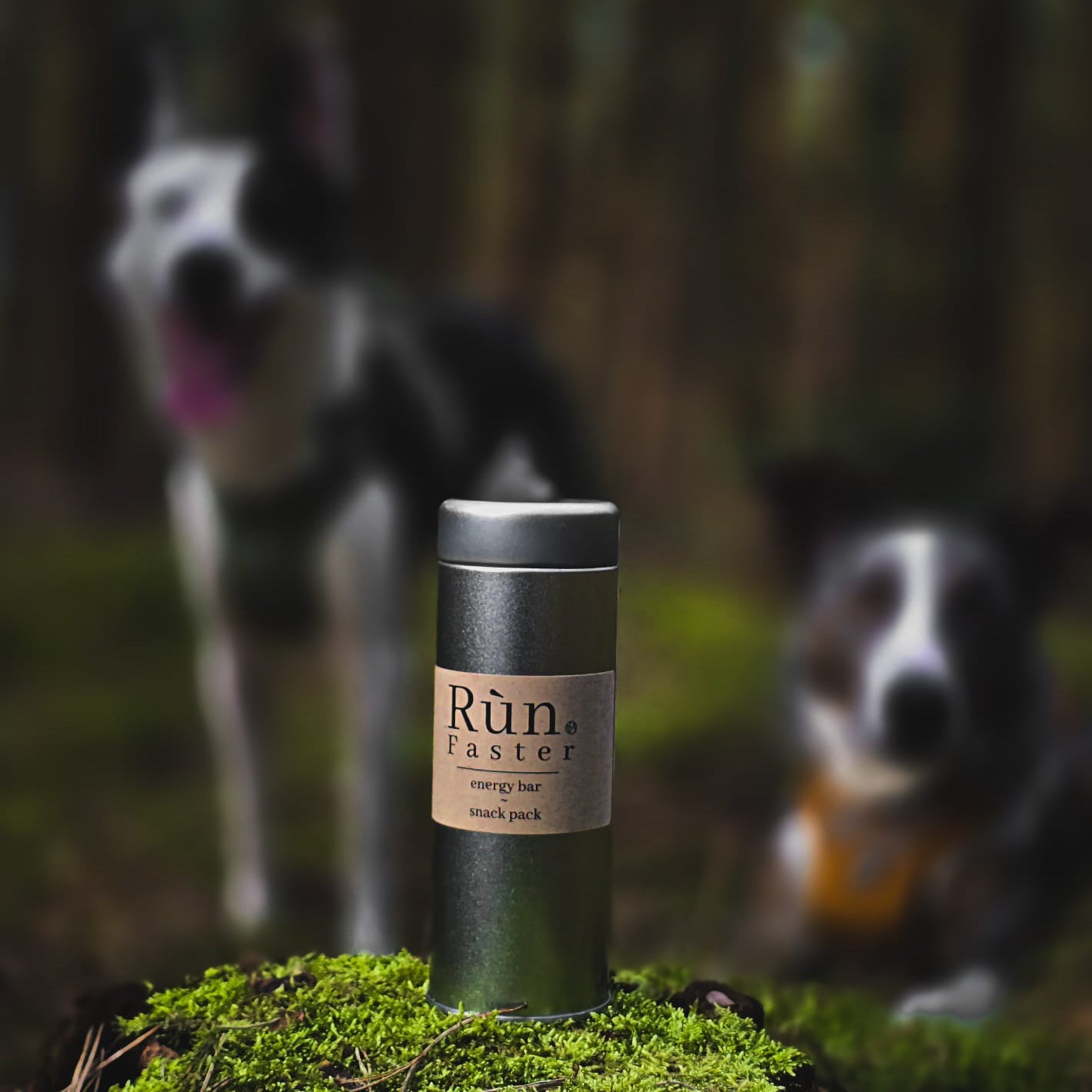 Energy Bars - Rùn Dog Food