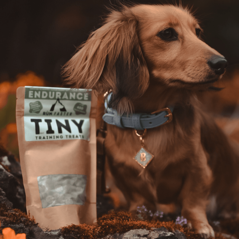 Truly TINY Training Treats - Rùn Dog Food