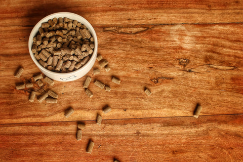 Cold pressed dog food in a bowl