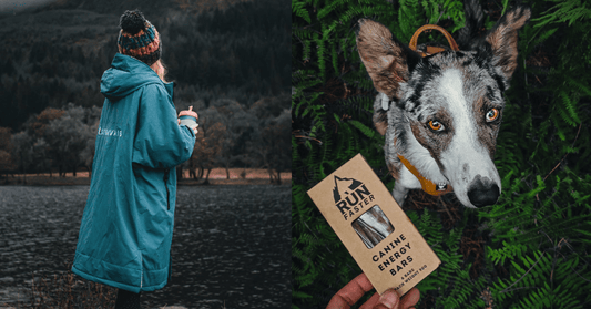 Autumn Dog Walking Essentials with Rùn and Stravaig - Rùn Dog Food