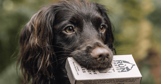 Canine Energy Bars - Rùn Dog Food