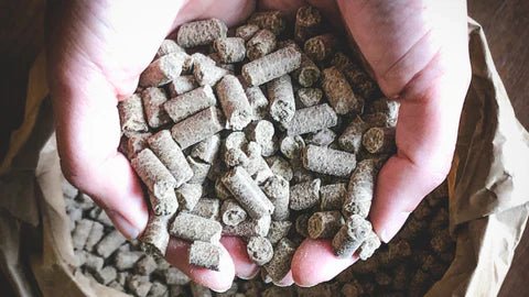 Cold pressed dog food feeding guide - Rùn Dog Food