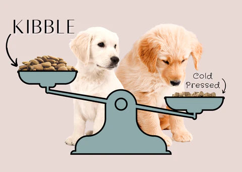 How to introduce Cold Pressed dog food