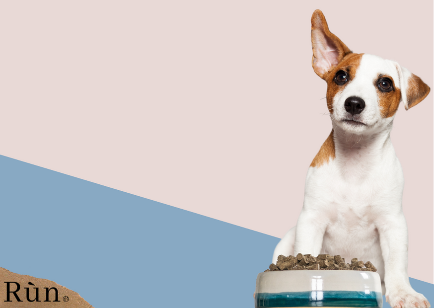 Run Cold pressed Dog Food Run Dog Food