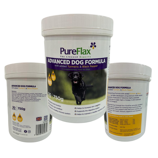 Advanced Dog Formula by PureFlax