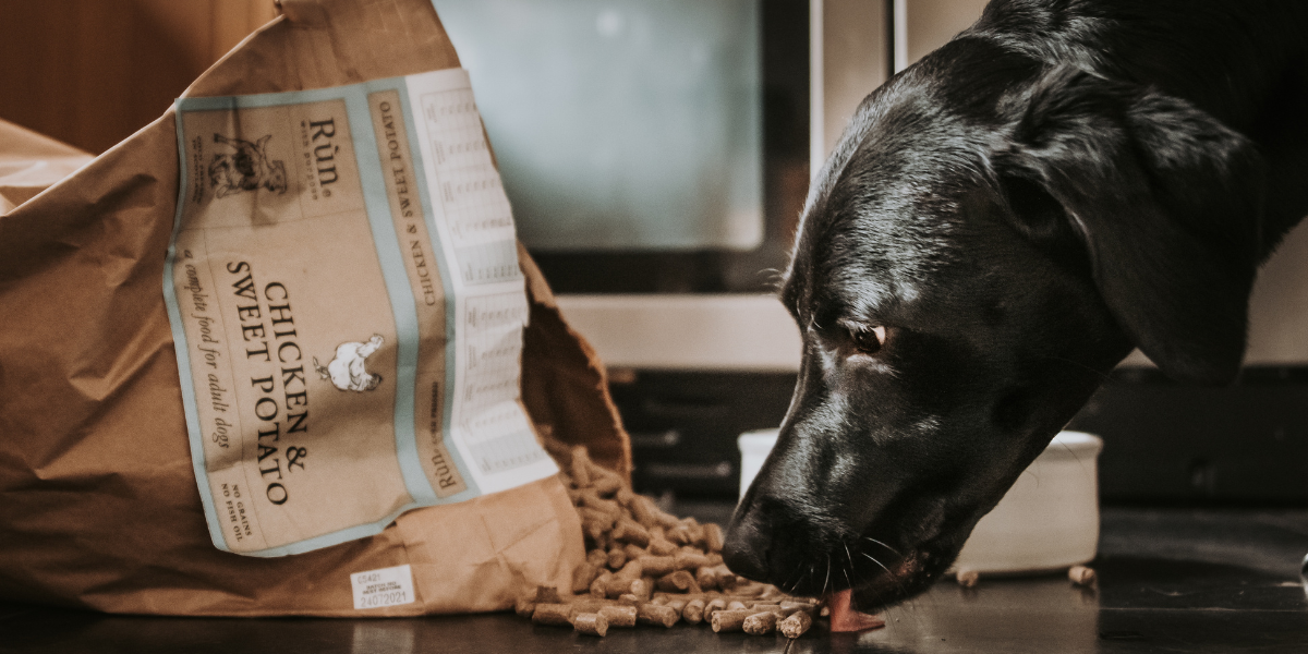 Cold pressed deals dog food usa