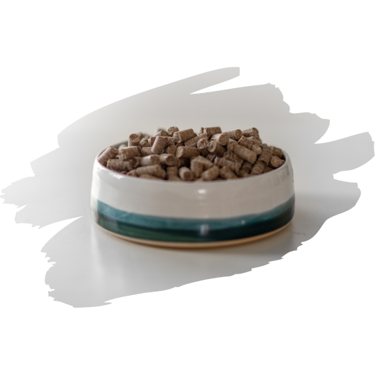 Rùn cold pressed dog food in a bowl