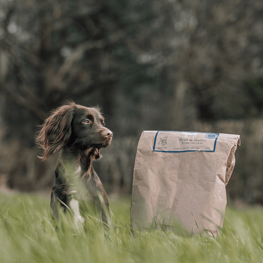 Beef - Working Dog - Rùn Dog Food