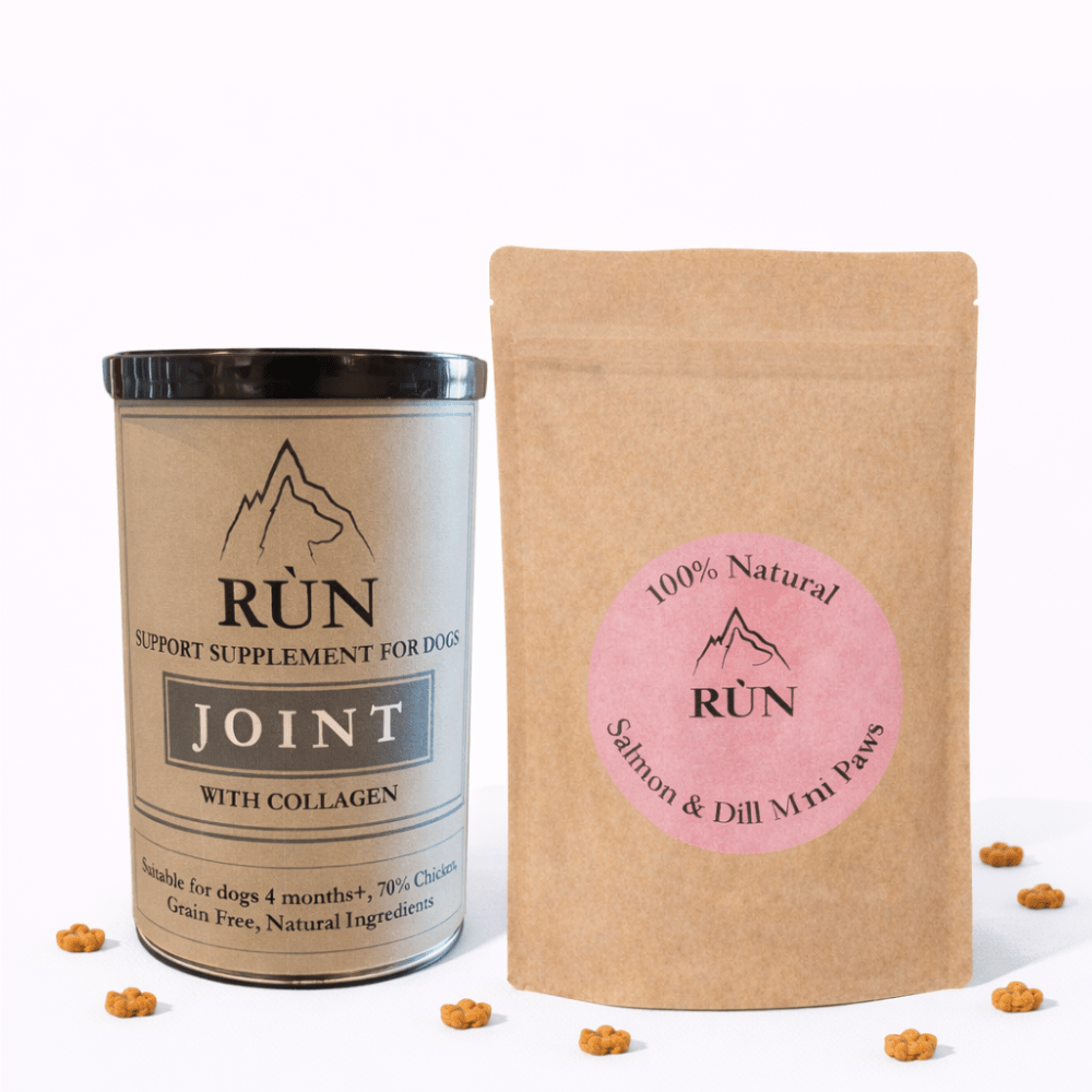 🏅 Performance & Reward Bundles - Rùn Dog Food