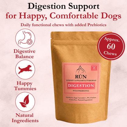 Supplement Chews - Rùn Dog Food