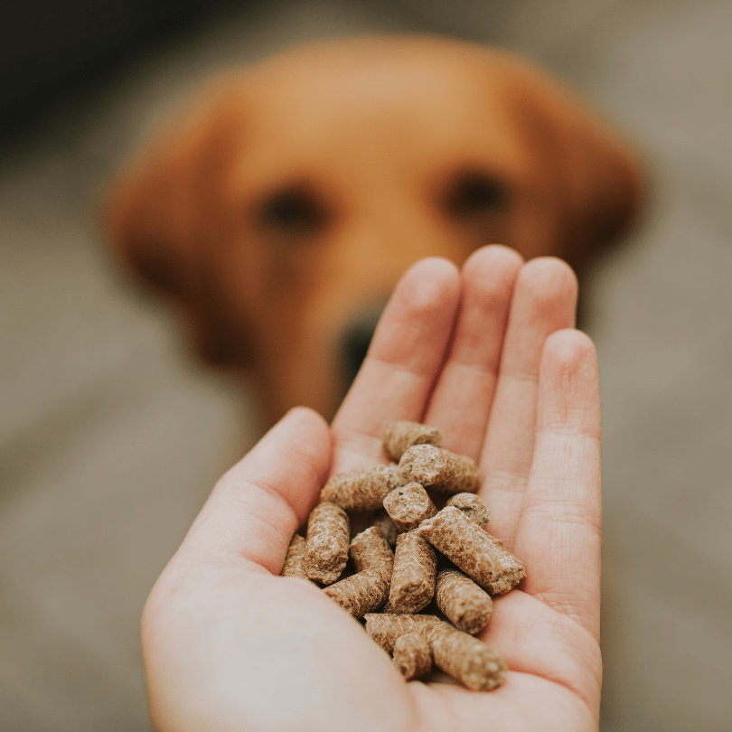 Trial Bags - Rùn Dog Food