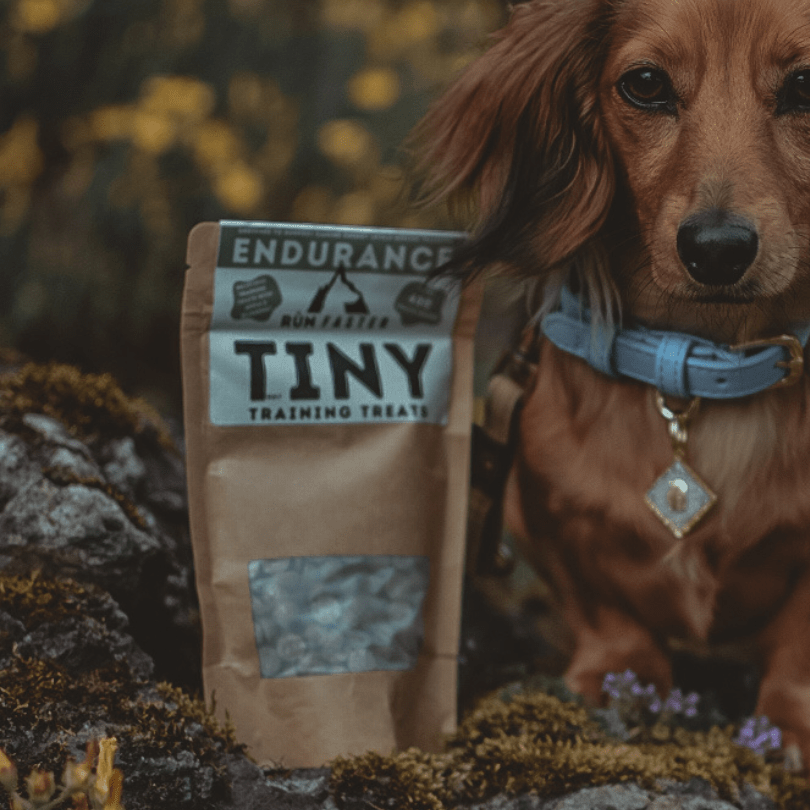Truly TINY Training Treats - Rùn Dog Food