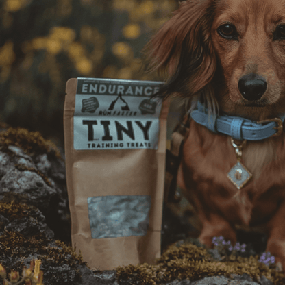 Truly TINY Training Treats - Rùn Dog Food