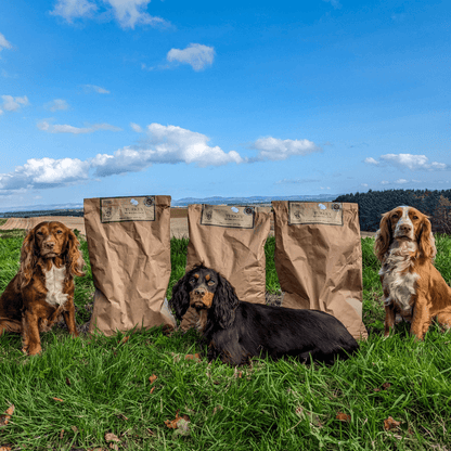 Turkey - Working Dog - Rùn Dog Food