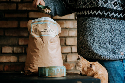 Chicken & Sweet Potato - Rùn Dog Food