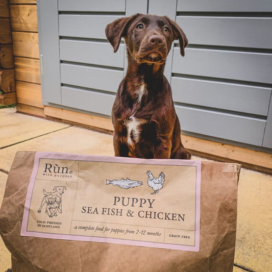 Puppy - Sea Fish & Chicken - Rùn Dog Food